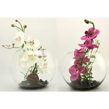 Orchide dans vase en verre H.35 cm AQUA pour 25